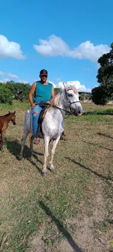 Cavalo