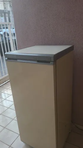 Freezer vertical