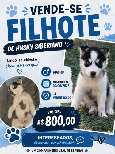 Filhote