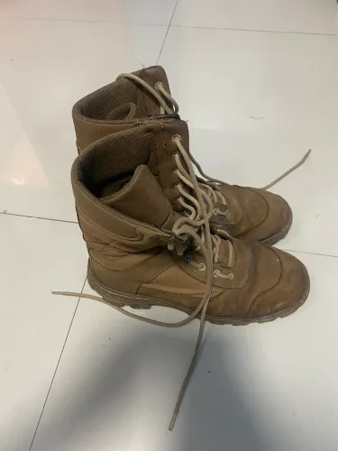 Coturno coyote