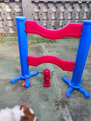 Vendo brinquedos para playground pet super novos.Nao vendo para pgto pela Olx.