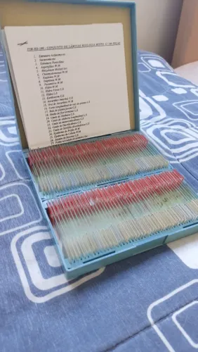 Kit Didático para Estudos de Microscopia Laboratório 100 peças Biologia - Histologia