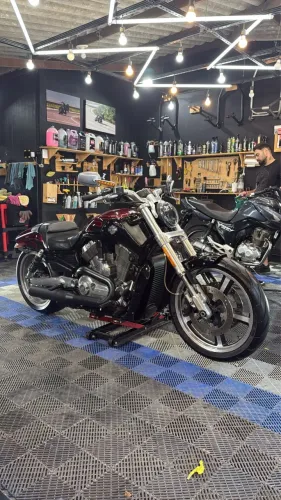 Harley V-Rod Muscle