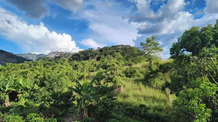 Sítio rod. Venda Nova x Castelo - Limoeiro 