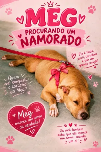 Meg procura um namorado