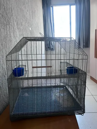 Gaiola