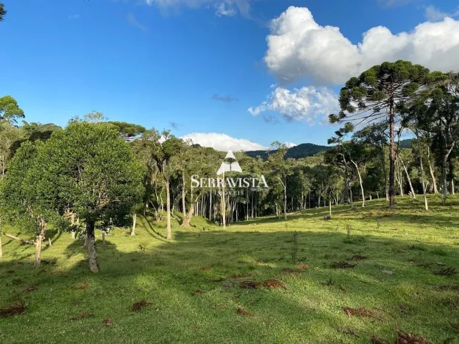 Chácara com pastagem e nascentes - 75.468 m2