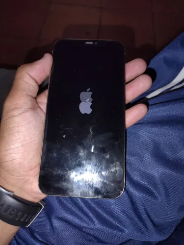 iPhone 12 pro Max, tem que trocar a placa 