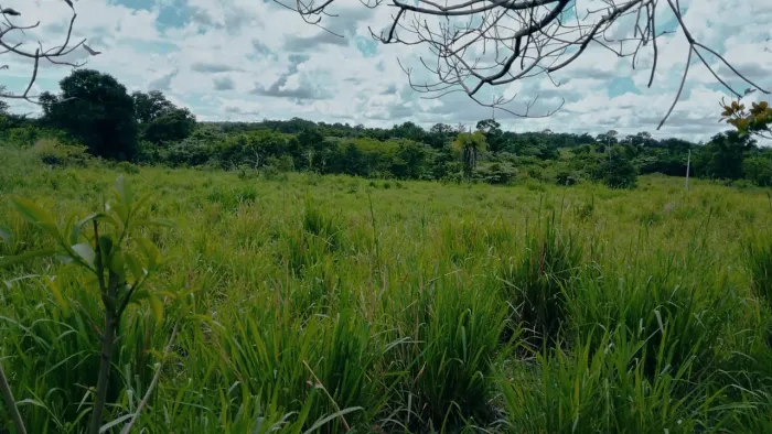 Chácara 11 alqueires Paraíso do Tocantins 