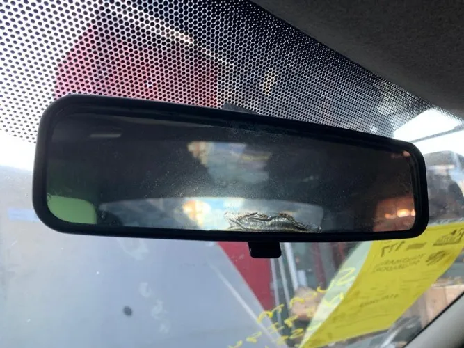 Retrovisor Interno Renault Logan 2010/2011