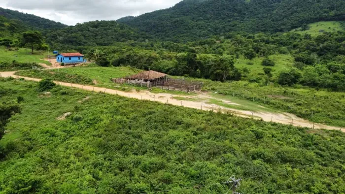 300 alqueires - 11 km de chão 