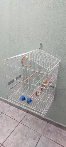 Gaiola para Calopsita