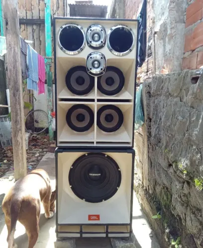 Caixa de Som Profissional Completa - JBL e Selenium