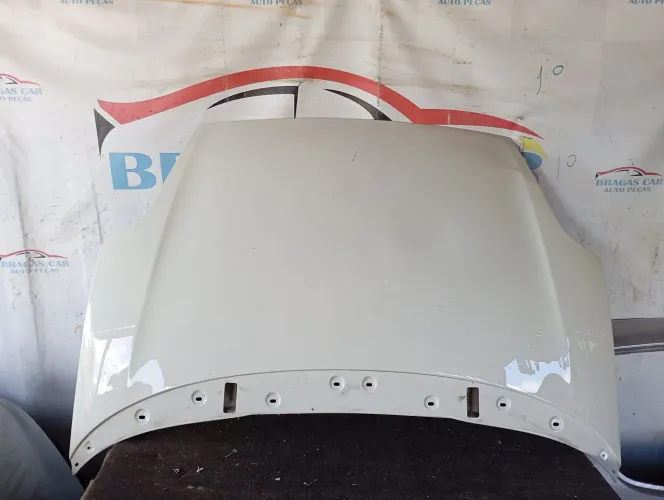 Capo Fiat Punto 2010