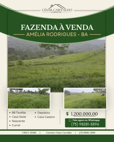 FAZENDA EM AMÉLIA RODRIGUES - 88 TAREFAS