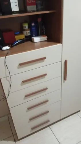 Vendo roupeiro com 1 mês de uso. 6 gavetas, compartimento para por calçados. Valor 600 R$