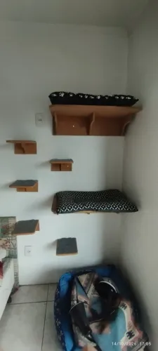 Prateleira Para Gatos Resistente Com Carpete Antiderrapante