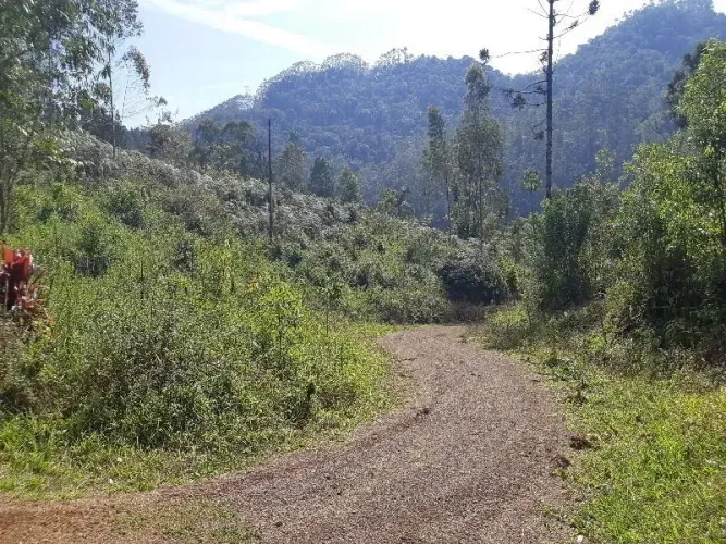 Terreno RODEIO - SC