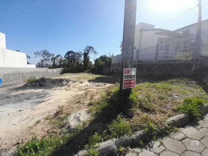 Terreno plano em Santa Catarina, Criciúma