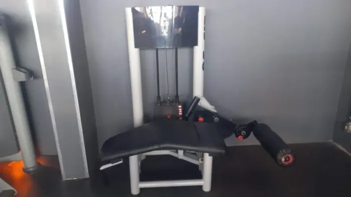 mesa flexora