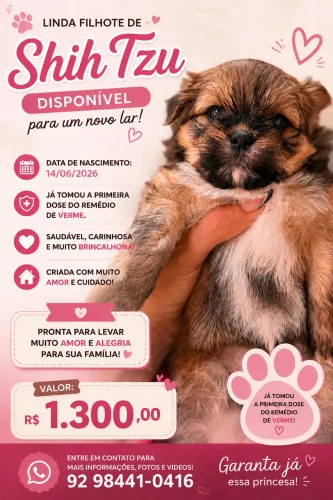 Cachorro