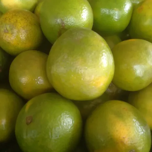 Laranja pera