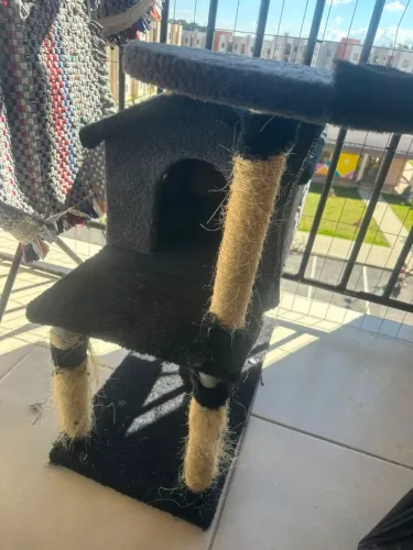 Casinha pra gato e caixa transporte