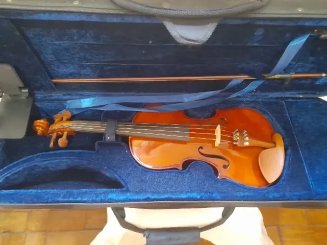 Violino Eagle 3/4 VE431