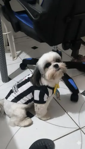 Hércules em busca de uma namorada