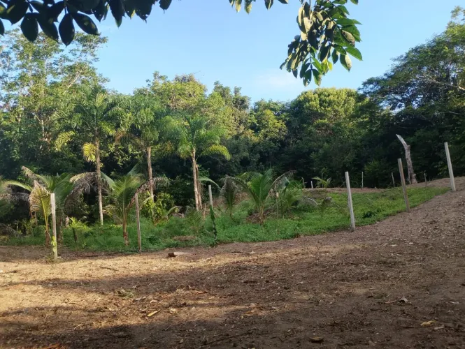 ? VENDE-SE 2 TERRENOS NA COMUNIDADE SÃO LUIZ<br>