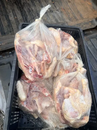 Frango semi caipira limpo(Inteiro com miúdos)