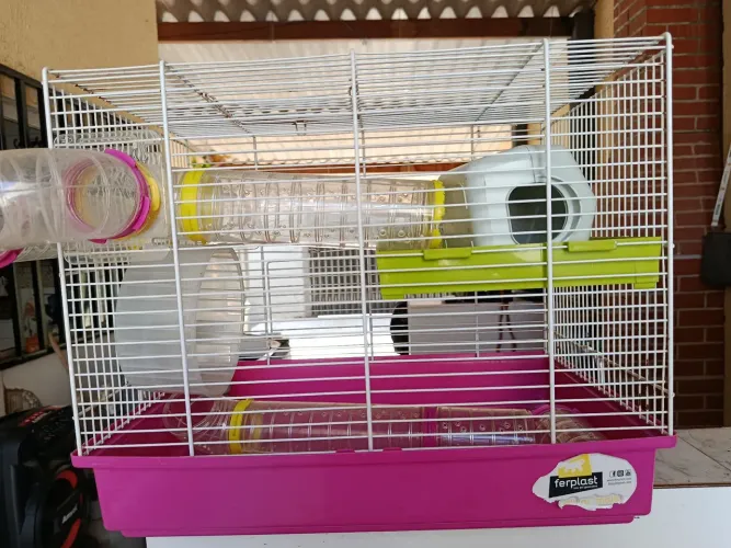 Vendo gaiolas 1 de hamest e outra coelho ou para pássaro semi novas,nada estragado