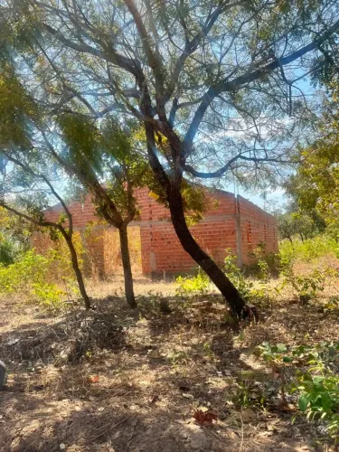 Vendo Terreno 44x60. Ótima localização no bairro Bom viver em Timon