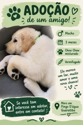 Adoção responsável