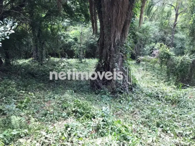 Lote no Condominio Vale do Tamanduá
