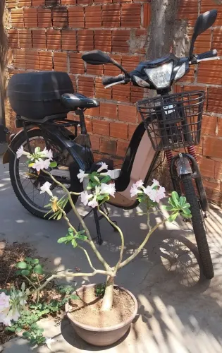 Vendo Bicicleta Elétrica Sousa modelo 008, motor 350W Aro 24, troca de baterias em 2025