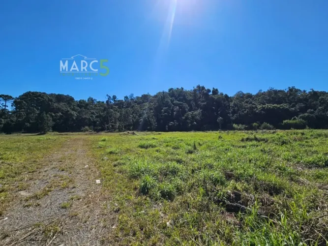 Venda - AREA - PORTAO Aruja SP