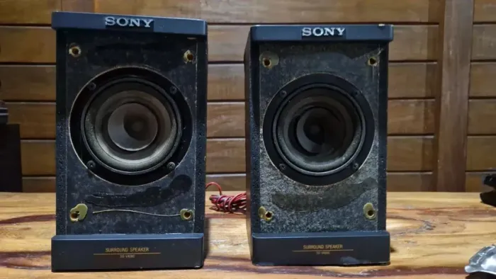Caixas Surround Sony SS V4000