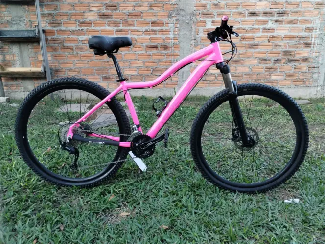 Bicicleta Absolute hera