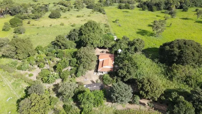 FAZENDA NOVA ESPERANÇA - 18.8 HECTARES A 5 KM DE ARINOS/MG! ESTRUTURA COMPLETA PARA VIVER