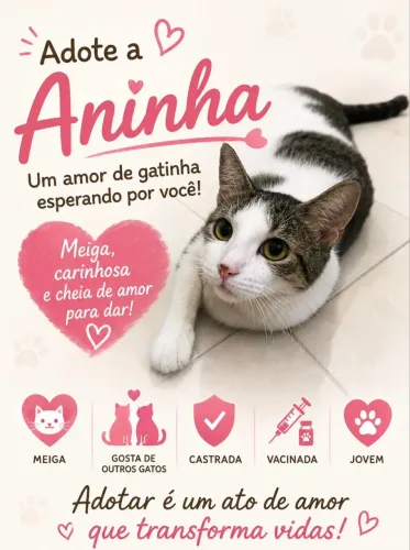 Gatinha castrada para adoção