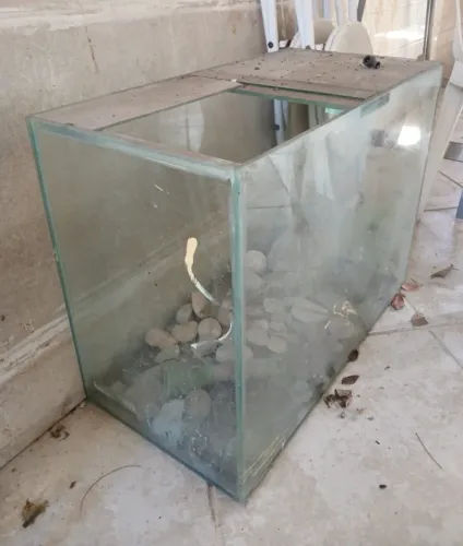 Aquário