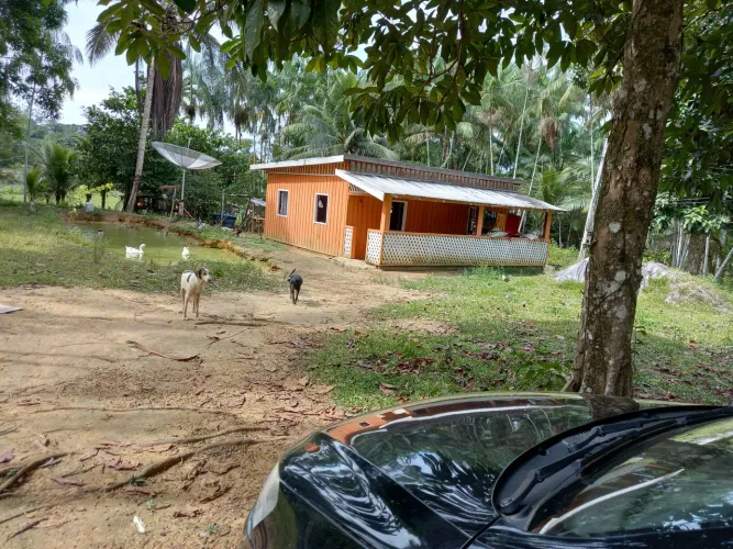 Negócio sitio