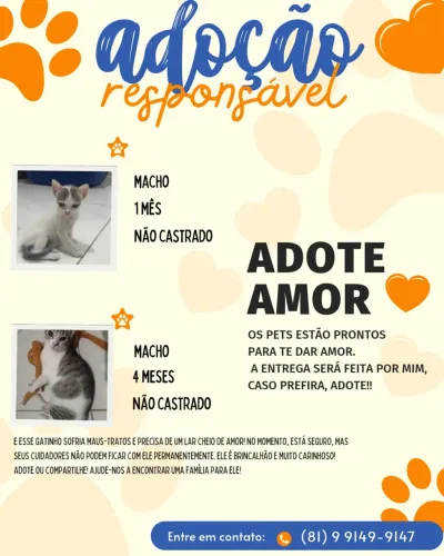 ADOÇÃO RESPONSÁVEL - GATINHOS