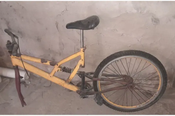 Bicicleta