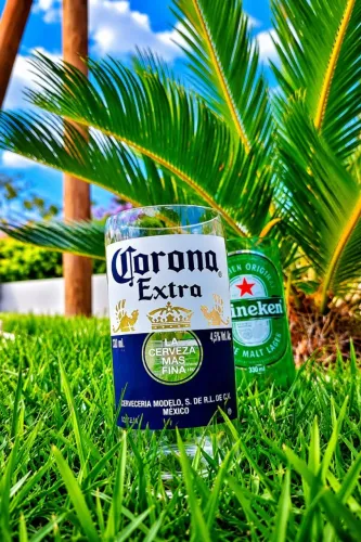 6 Copos Corona ou Heineken