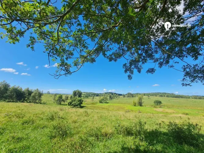 VENDA DE LINDA FAZENDA PORTEIRA FECHADA DE 52 ALQUEIRES