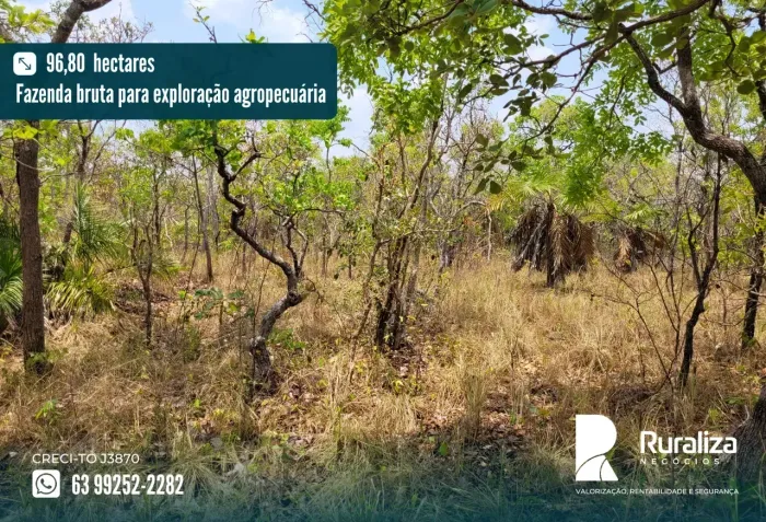 63 HA PARA ABERTURA | PLANO | EXCELENTE OPORTUNIDADE