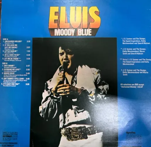 DISCO VINIL 
