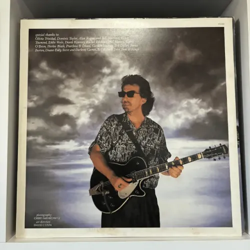 LP Vinil George Harrison - Cloud Nine (Mídia e Capa VG+ com Encarte)